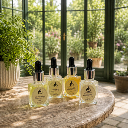 Four small glass dropper bottles of essential oils arranged on a rustic wooden table in front of a sunlit greenhouse window. The bottles contain pale yellow to golden-yellow liquids and have black droppers with silver collars.